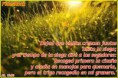 /album/fotogaleria-inicio/images-17-jpg/